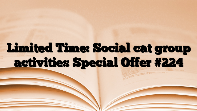 Limited Time: Social cat group activities Special Offer