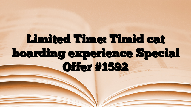 Limited Time: Timid cat boarding experience Special Offer