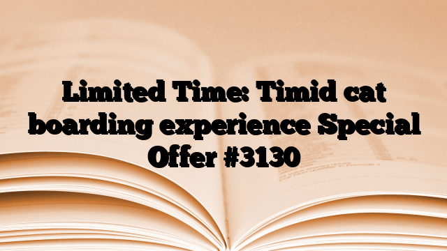 Limited Time: Timid cat boarding experience Special Offer