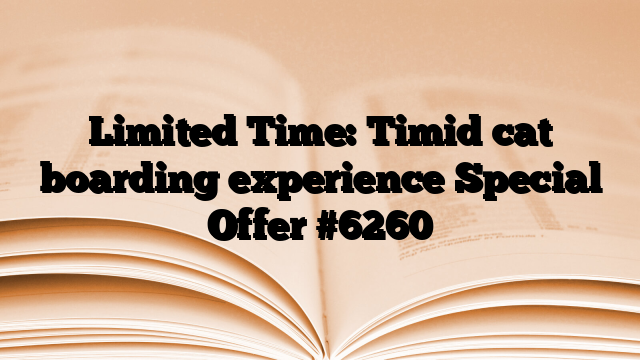 Limited Time: Timid cat boarding experience Special Offer