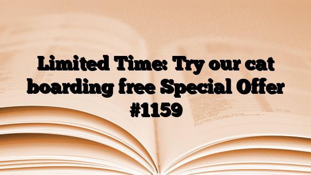 Limited Time: Try our cat boarding free Special Offer