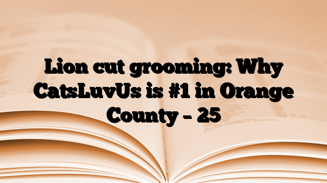 Lion cut grooming: Why CatsLuvUs is #1 in Orange County – 25