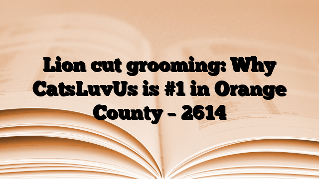 Lion cut grooming: Why CatsLuvUs is #1 in Orange County