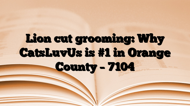 Lion cut grooming: Why CatsLuvUs is #1 in Orange County