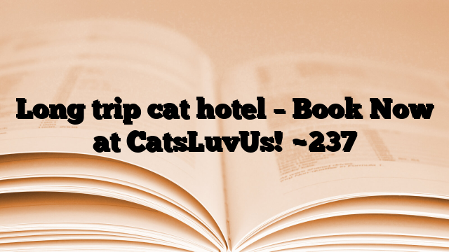 Long trip cat hotel – Book Now at CatsLuvUs!
