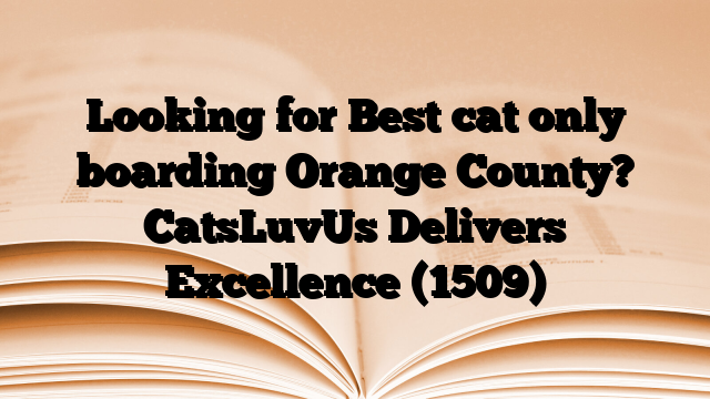 Looking for Best cat only boarding Orange County? CatsLuvUs Delivers Excellence