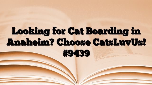 Looking for Cat Boarding in Anaheim? Choose CatsLuvUs!