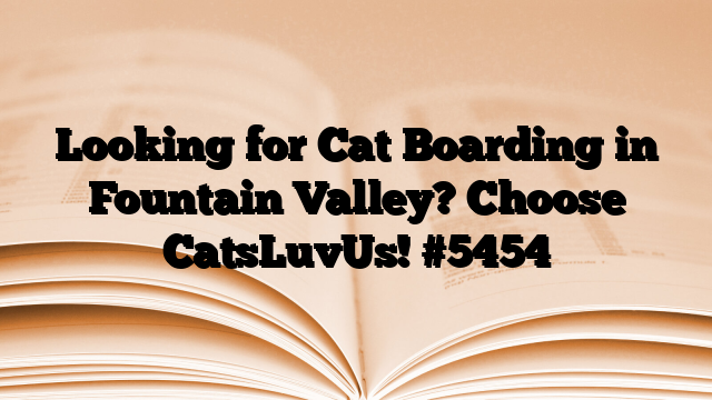 Looking for Cat Boarding in Fountain Valley? Choose CatsLuvUs!