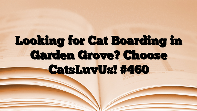 Looking for Cat Boarding in Garden Grove? Choose CatsLuvUs!