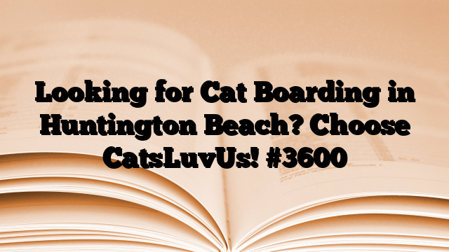 Looking for Cat Boarding in Huntington Beach? Choose CatsLuvUs!