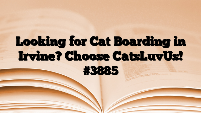 Looking for Cat Boarding in Irvine? Choose CatsLuvUs!