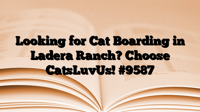 Looking for Cat Boarding in Ladera Ranch? Choose CatsLuvUs!
