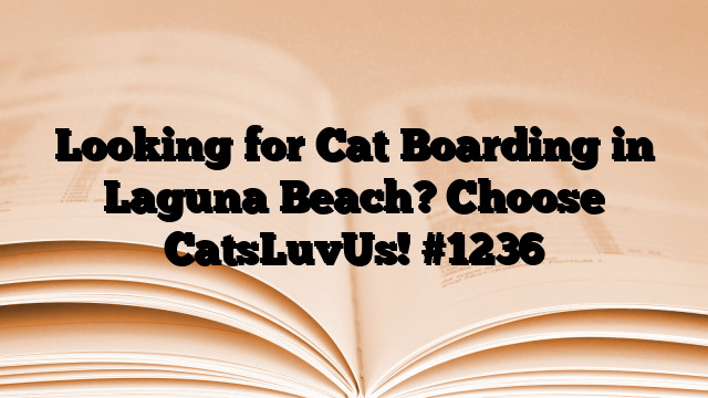 Looking for Cat Boarding in Laguna Beach? Choose CatsLuvUs!