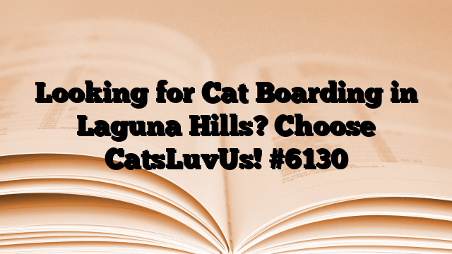 Looking for Cat Boarding in Laguna Hills? Choose CatsLuvUs!