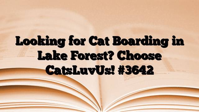 Looking for Cat Boarding in Lake Forest? Choose CatsLuvUs!