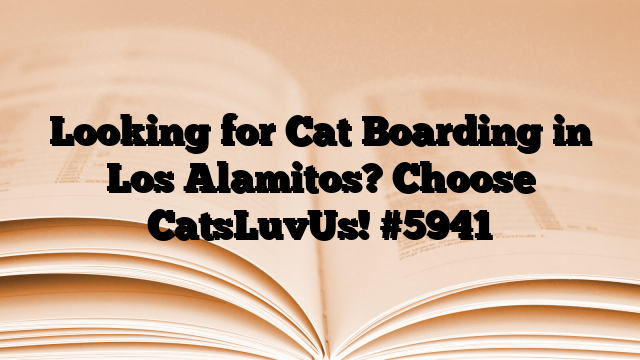 Looking for Cat Boarding in Los Alamitos? Choose CatsLuvUs!