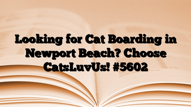 Looking for Cat Boarding in Newport Beach? Choose CatsLuvUs!