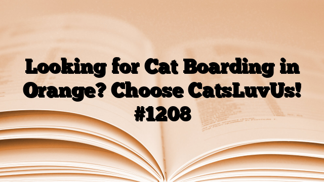 Looking for Cat Boarding in Orange? Choose CatsLuvUs!