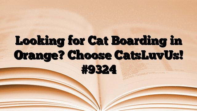 Looking for Cat Boarding in Orange? Choose CatsLuvUs!