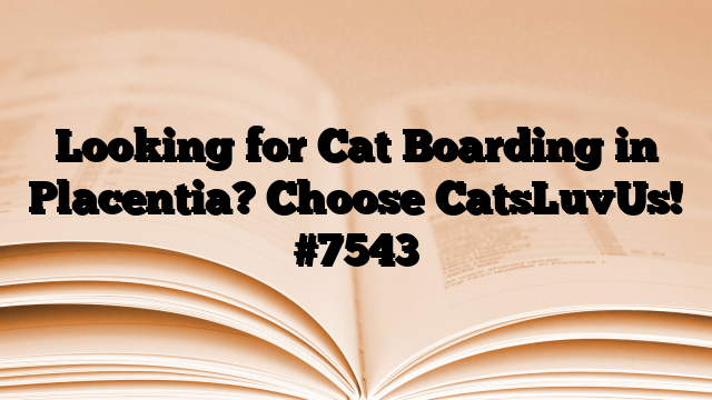 Looking for Cat Boarding in Placentia? Choose CatsLuvUs!