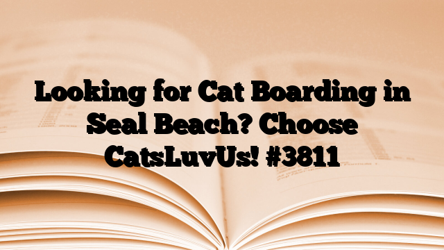Looking for Cat Boarding in Seal Beach? Choose CatsLuvUs!