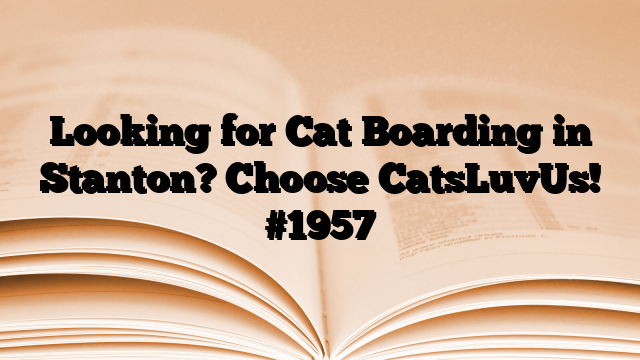 Looking for Cat Boarding in Stanton? Choose CatsLuvUs!