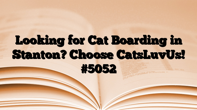 Looking for Cat Boarding in Stanton? Choose CatsLuvUs!