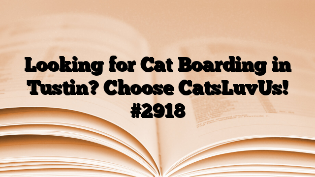 Looking for Cat Boarding in Tustin? Choose CatsLuvUs!