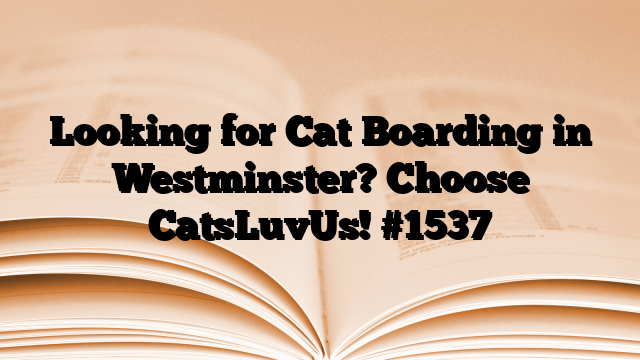Looking for Cat Boarding in Westminster? Choose CatsLuvUs!