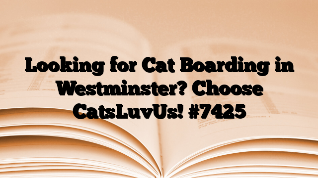 Looking for Cat Boarding in Westminster? Choose CatsLuvUs!