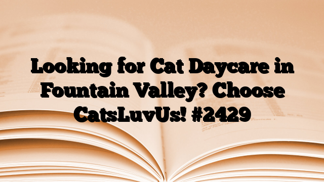 Looking for Cat Daycare in Fountain Valley? Choose CatsLuvUs!