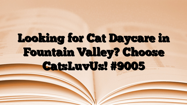 Looking for Cat Daycare in Fountain Valley? Choose CatsLuvUs!
