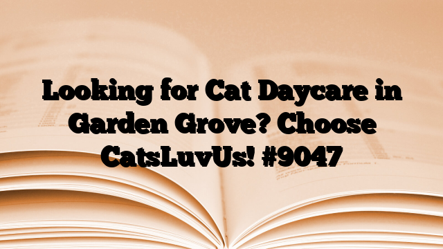 Looking for Cat Daycare in Garden Grove? Choose CatsLuvUs!