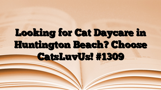 Looking for Cat Daycare in Huntington Beach? Choose CatsLuvUs!