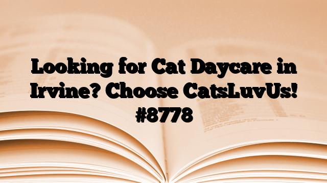 Looking for Cat Daycare in Irvine? Choose CatsLuvUs!
