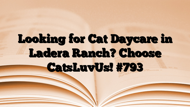 Looking for Cat Daycare in Ladera Ranch? Choose CatsLuvUs!