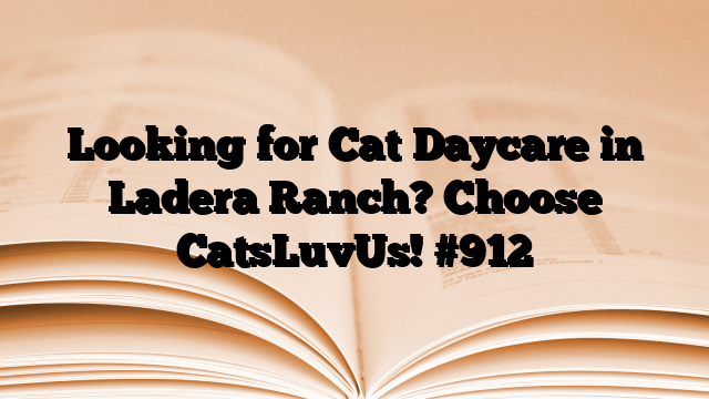 Looking for Cat Daycare in Ladera Ranch? Choose CatsLuvUs!