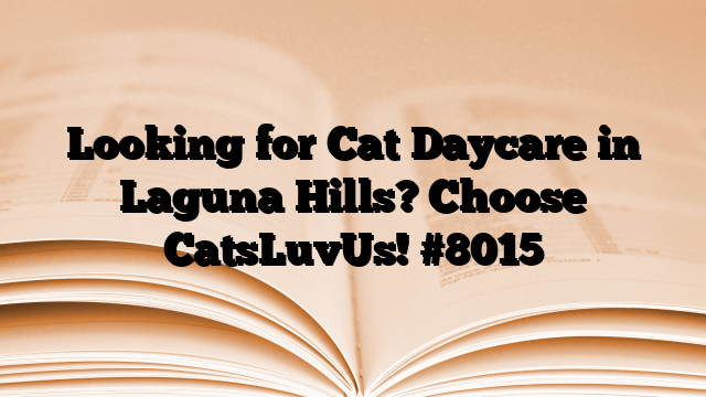 Looking for Cat Daycare in Laguna Hills? Choose CatsLuvUs!