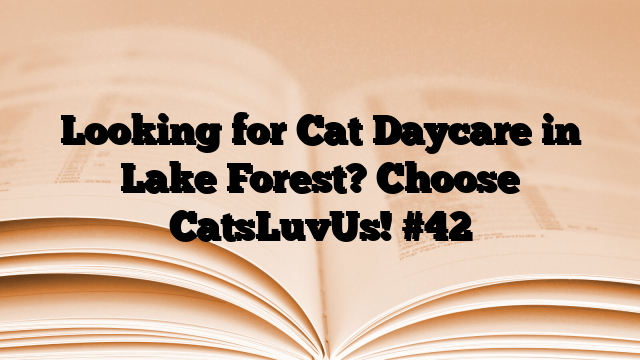 Looking for Cat Daycare in Lake Forest? Choose CatsLuvUs!