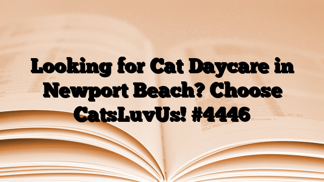 Looking for Cat Daycare in Newport Beach? Choose CatsLuvUs!