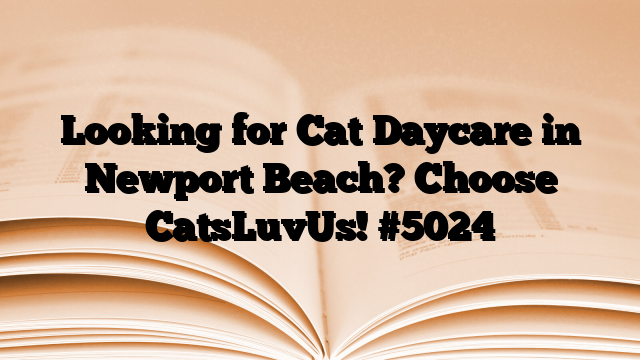 Looking for Cat Daycare in Newport Beach? Choose CatsLuvUs!