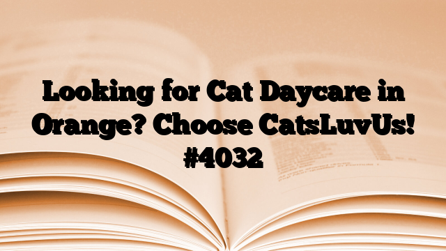 Looking for Cat Daycare in Orange? Choose CatsLuvUs!