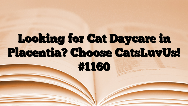 Looking for Cat Daycare in Placentia? Choose CatsLuvUs!