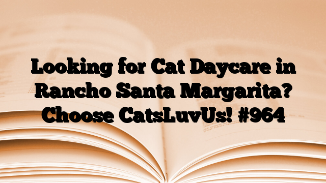 Looking for Cat Daycare in Rancho Santa Margarita? Choose CatsLuvUs!