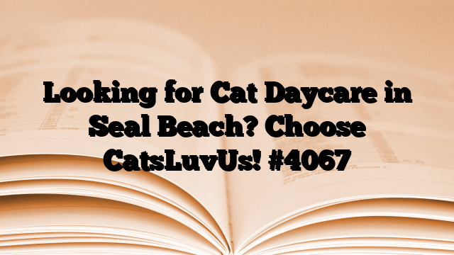 Looking for Cat Daycare in Seal Beach? Choose CatsLuvUs!