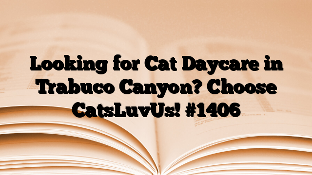 Looking for Cat Daycare in Trabuco Canyon? Choose CatsLuvUs!