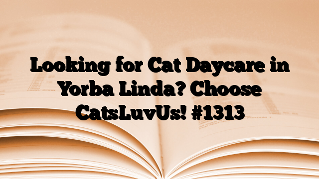Looking for Cat Daycare in Yorba Linda? Choose CatsLuvUs!