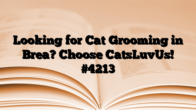 Looking for Cat Grooming in Brea? Choose CatsLuvUs!
