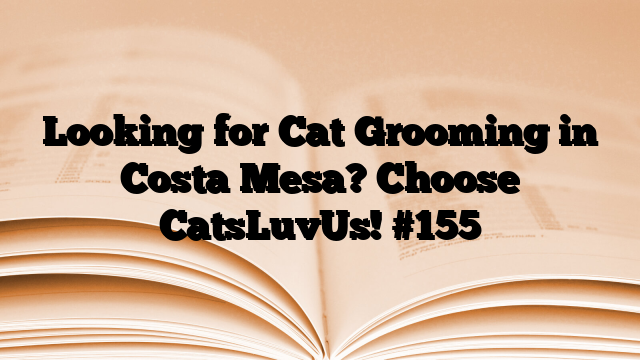 Looking for Cat Grooming in Costa Mesa? Choose CatsLuvUs!