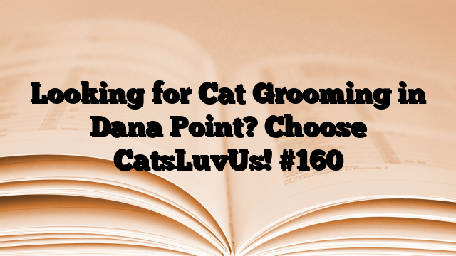 Looking for Cat Grooming in Dana Point? Choose CatsLuvUs!